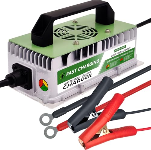 12V 20A LiFePO4 Battery Charger, 800W Smart Lithium Battery Charger IP65 Waterproof with Anderson Connector, Suitable for Lithium Rechargeable Batteries of RV, Boat