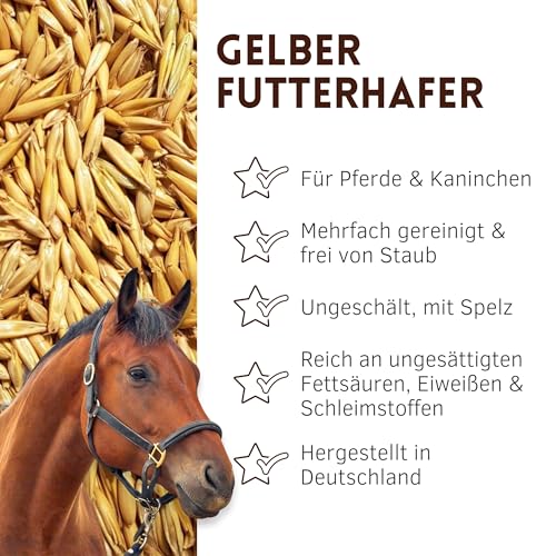Supravit Hafer ganz 5kg | Frischer gelber Futterhafer natürlich & ungeschält für Pferd und Pony | staubfrei & riecht gut I Hafer Energie & Kraftfutter Pferd