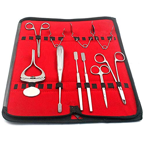 AAProTools Rodent Small Animal Cheek Teeth Molar Incisor Dentistry Dental Care Kit Set Tray Rabbit Chinchilla Gerbil Guinea Hamster Rat Veterinary Stainless Steel Instruments