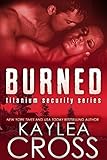 Burned (Titanium Security Series Book 3)