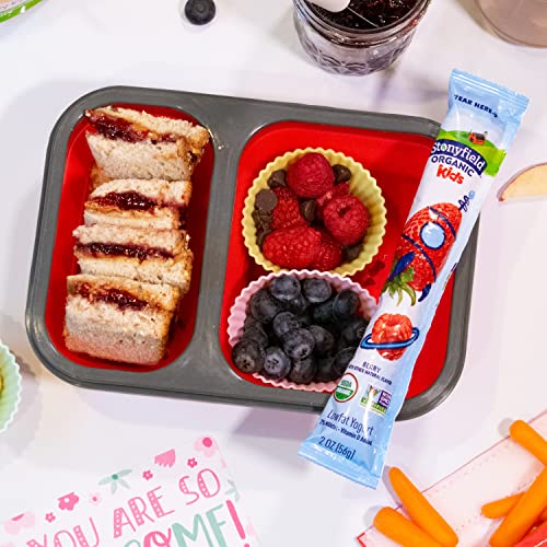 Stonyfield Organic Kids Strawberry Lowfat Yogurt Tubes, 2 Oz., 8 Ct - #1 Organic Kids Yogurt, No Artificial Flavors Or Sweeteners, 8 Count (Pack Of 1) #TOP5