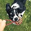 9-Piece Rope Toy Set for Large Dogs