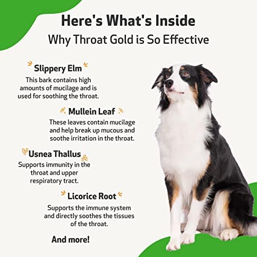 Pet Wellbeing Throat Gold For Dogs - Natural Herbal Cough, Throat And Respiratory Support For Dogs -