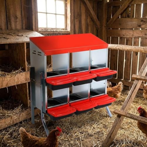 ActiveTrail 6 Compartment Box with Legs