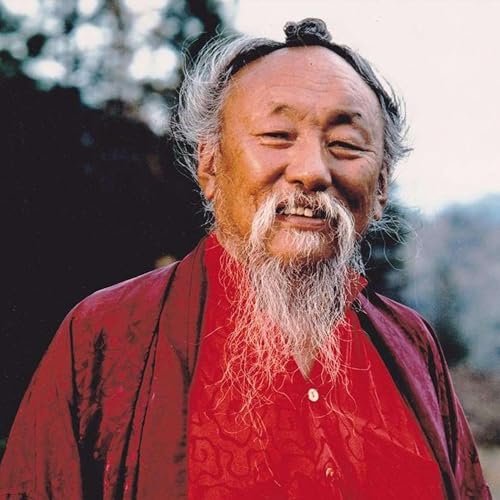 Proč je pom&iacute;jivost na Z&aacute;padě často vn&iacute;m&aacute;na jako něco negativn&iacute;ho? - Chagdud Tulku Rinpočhe