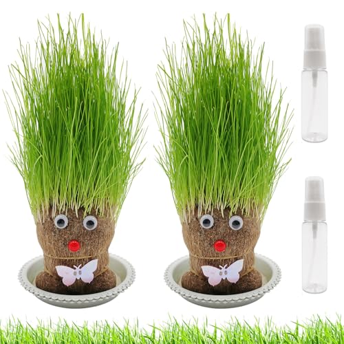 Poupée Tête d'Herbe Mini Bonsaï - 2 Plantes Grass Head avec Plateau (M3)