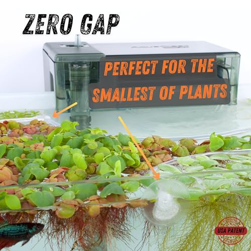 Image of Smallest Floating Plant Barrier for Nano Tanks (<10gal); Uses Capillary Action to Cling to Glass; No Suction Cups; Auto Adjust to Any Water Level; Thin Tubing; Bends into Any Shape (Clear Combo)