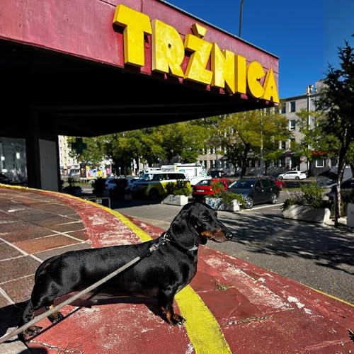 S13E8: SVETOV&Eacute; TRŽNICE - Z n&aacute;kupov z&aacute;žitky