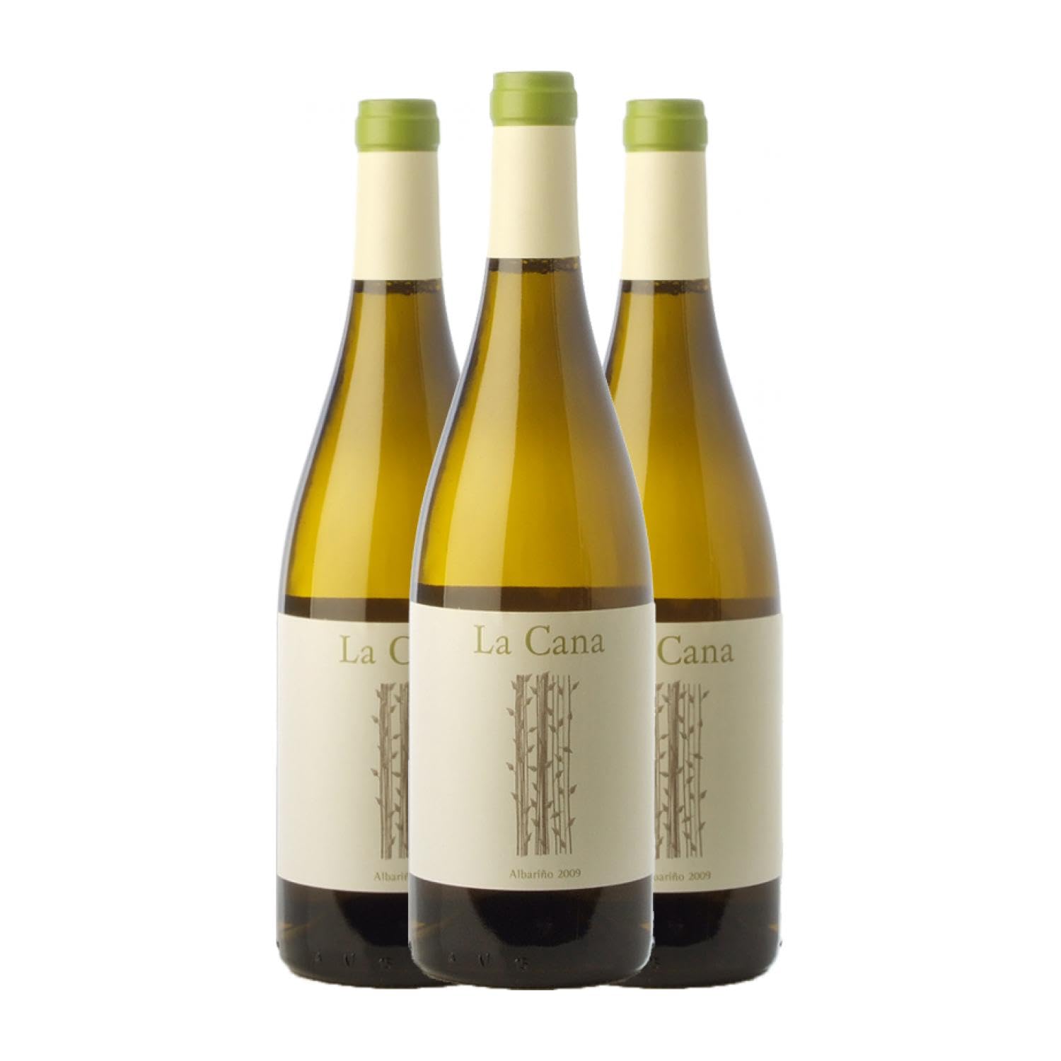 La Caña Albariño Rías Baixas Crianza 75 cl Vino blanco (Caja de 3 Botellas de 75 cl)