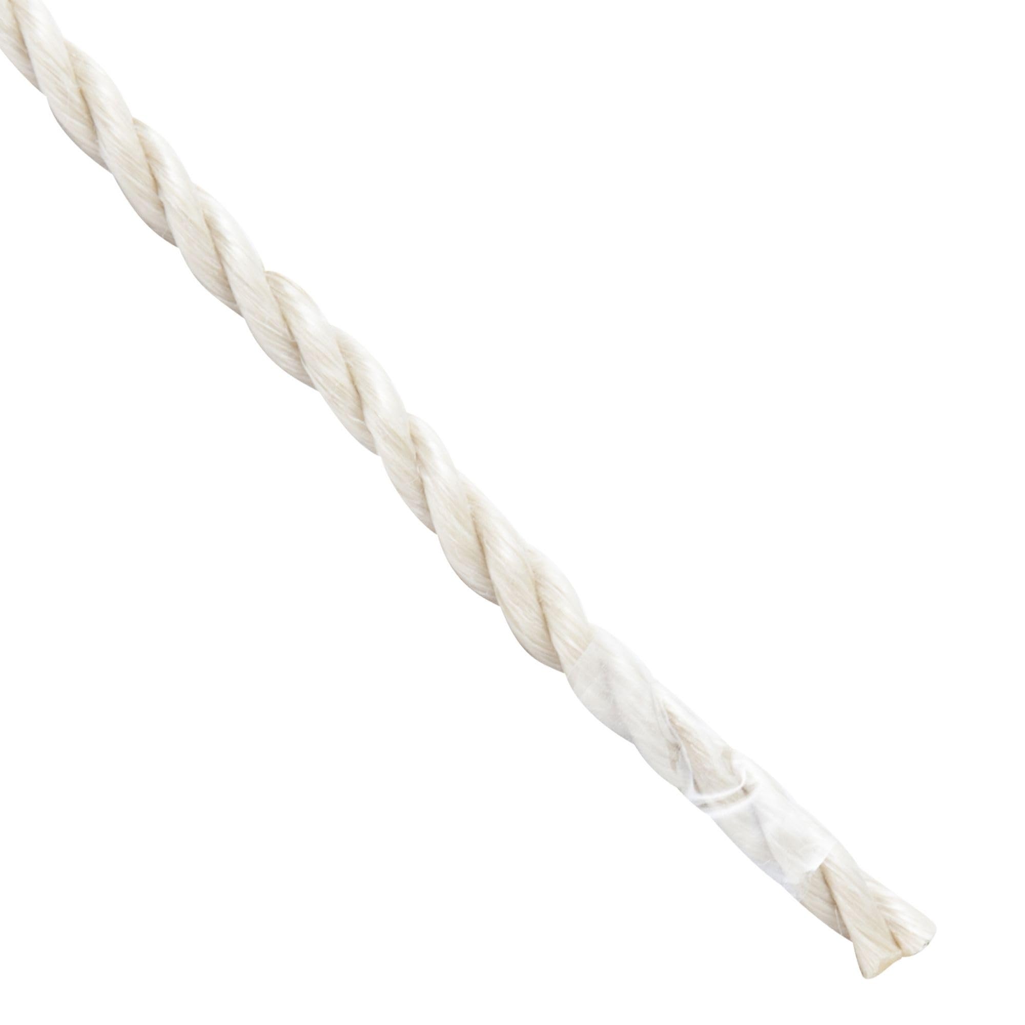 WERKA PRO Corde Beige Rigide - 4,5mm - Longueur 40m - Résistance 300kg - Usage Polyvalent Bricolage Jardinage - Fibre Naturelle - Sécurité et Robustesse - Code EAN 3700723416832 WERKA PRO Corde Beige Rigide - 4,5mm - Longueur 40m - Résistance 300kg - Usage Polyvalent Bricolage Jardinage - Fibre Naturelle - Sécurité et Robustesse - Code EAN 3700723416832