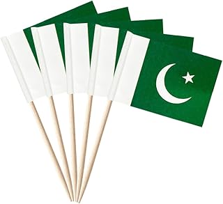 stidsds 100 Pcs Pakistan Flag Pakistan Toothpick Flags Mini Small Pakistani Cupcake Toppers Stick Flags Banner Party Cocktail Fruit Decoration