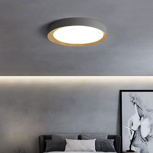 Miniatura 2 de LLUCKYS Lámpara de techo LED de atenuación continua con control remoto regulable LED de techo creativo simple y plano moderno accesorio de montaje