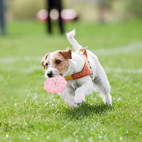 POPETPOP 4Pcs Squeaky Brinquedos Do Cachorro de Pelúcia de Frutas Forma de Cachorro Mastigar Brinque