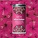 Tahmina Saffron Radiance Caffeine Free Tea: Calming Hibiscus and Rose with Afghan Saffron, 12 Biodegradable Pyramid Tea Bags, Makes 36 Cups of Tea (1 Pack)