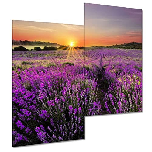Tableau champ de lavande sunrise 60x60cm pour déco murale salon moderne