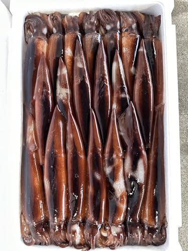 zˏXbkOY ⓀނCJ 20 (4.5kg`5.5kg) TCY VN }Ⓚ g XCJ