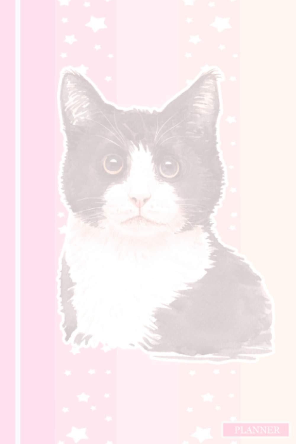 Planner: Cat Undated Planner Monthly & Weekly Schedular Diary Kawaii/ Cat Planner Diary/Kawaii Undated Planner/Cat Gifts for Cat Lovers/Planner Notebook for Cat Lover/Cat Lover Gifts