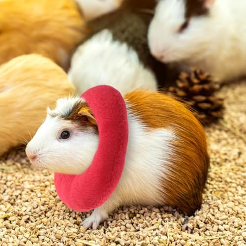 Anillos de protección postoperatorios y suaves para mascotas pequeñas 6