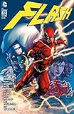  Flash: Bd. 12: Treibjagd auf den roten Blitz