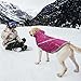 VIVAGLORY Snowrap Dog Coat, Jacket with Harness Hole, Dog Coat for Winter & Cold Weather, Fluffy Warm Fleece Lined Reflective Water Resistant for Puppy, XS, Fuchsia