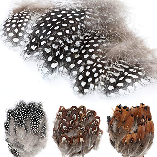 MWOOT 300 Pezzi Piume di Gallo Miste Piume di