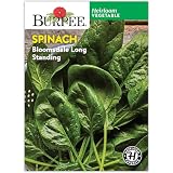 Burpee Bloomsdale Long Standing Spinach Seeds - Heirloom, Slow-Bolting