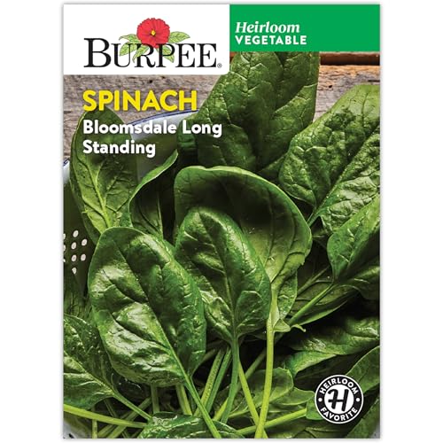 Burpee Bloomsdale Spinach Seeds