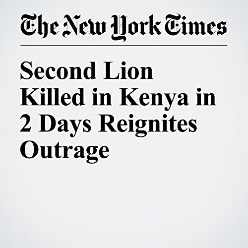 Second Lion Killed in Kenya in 2 Days Reignites Outrage cover art