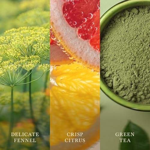 Image of Woodwick Matcha Zest Medium Hourglass Candle