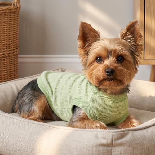 Image of 1 Pack Dog Shirt for Small Supplies Functional Waffle Dog Clothes Warm Soft Sweatshirt Outfit for Dogs Cats Pet Apparel