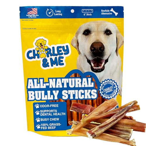 CHARLEY & ME Premium Bully Sticks - 6 Inches (Pack of 25)