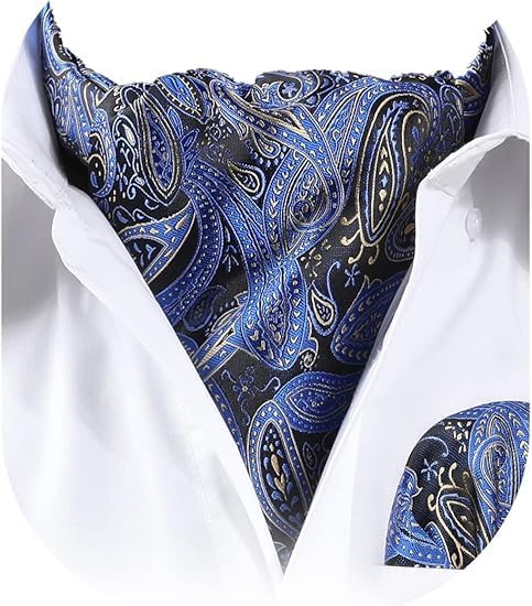 HISDERN Ascot Ties for Men Paisley Cravat Tie and Pocket Square Set Floral Mens Ascot Scarf Handkerchief Wedding Party