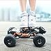 PETRLOY Gelände High Speed ​​RC Geländewagen 01.10 4WD Allradantrieb Fernbedienung Autos Groß Eltern-Kind-Buggy-Träger-Spielzeug Chargable Elektrischer Kletter Truggy for Erwachsene und Kinder Spielze
