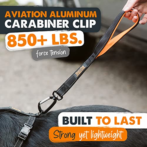 Mighty Paw Short Leash, Traffic Handle Dog Leash, Premium Quality Dog Lead With Padded Handle (30 In, Black) #TOP3