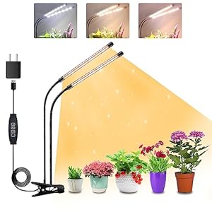 Niello 2 têtes Lampe pour Pla...