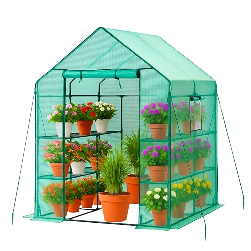 DIVCHI Walk-In Greenhouse 3 Tier 6 Shelves Roll-Up Zip Panel Door Heavy Duty Garden Grow House with PE Cover for Indoor & Outdoor Use | Green House | Growhouse