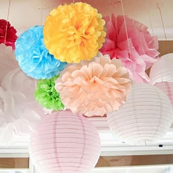 Orino8482; Pom Poms - 5pcs 2 Sizes Tissue Paper Flowers, Tissue Paper Pom Poms, Wedding Decor, Party Decor, Pom Pom Flowers, Tissue Paper, Tissue Paper Flowers Kit, Pom Poms Craft, Wedding Pom Poms, Pom Poms Decoration (Pink&Light Pink)