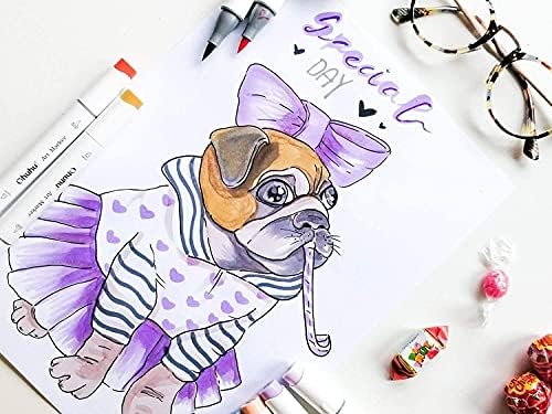 Ohuhu Markery alkoholowe z końcówką pędzla, markery na bazie alkoholu z podwójną końcówką dla dzieci artysty szkicowanie ilustracja kolorowana dla dorosłych, 24 podstawowe kolory + 1 blender markera + na