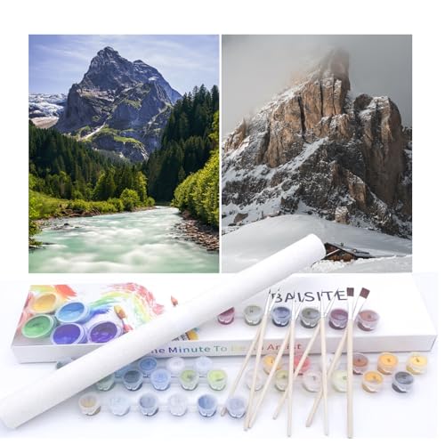 BAISITE Paint by Numbers Kit for Adults Beginners,12
