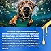 Alaskan Salmon Oil for Dogs, Omega-3 Fish Oil with EPA and DHA for Skin and Joint Care, Liquid Supplement for Coat Health, All Breeds and Ages, 8.8 fl oz