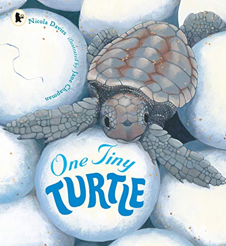 One Tiny Turtle: 1 (Nature Storybooks)
