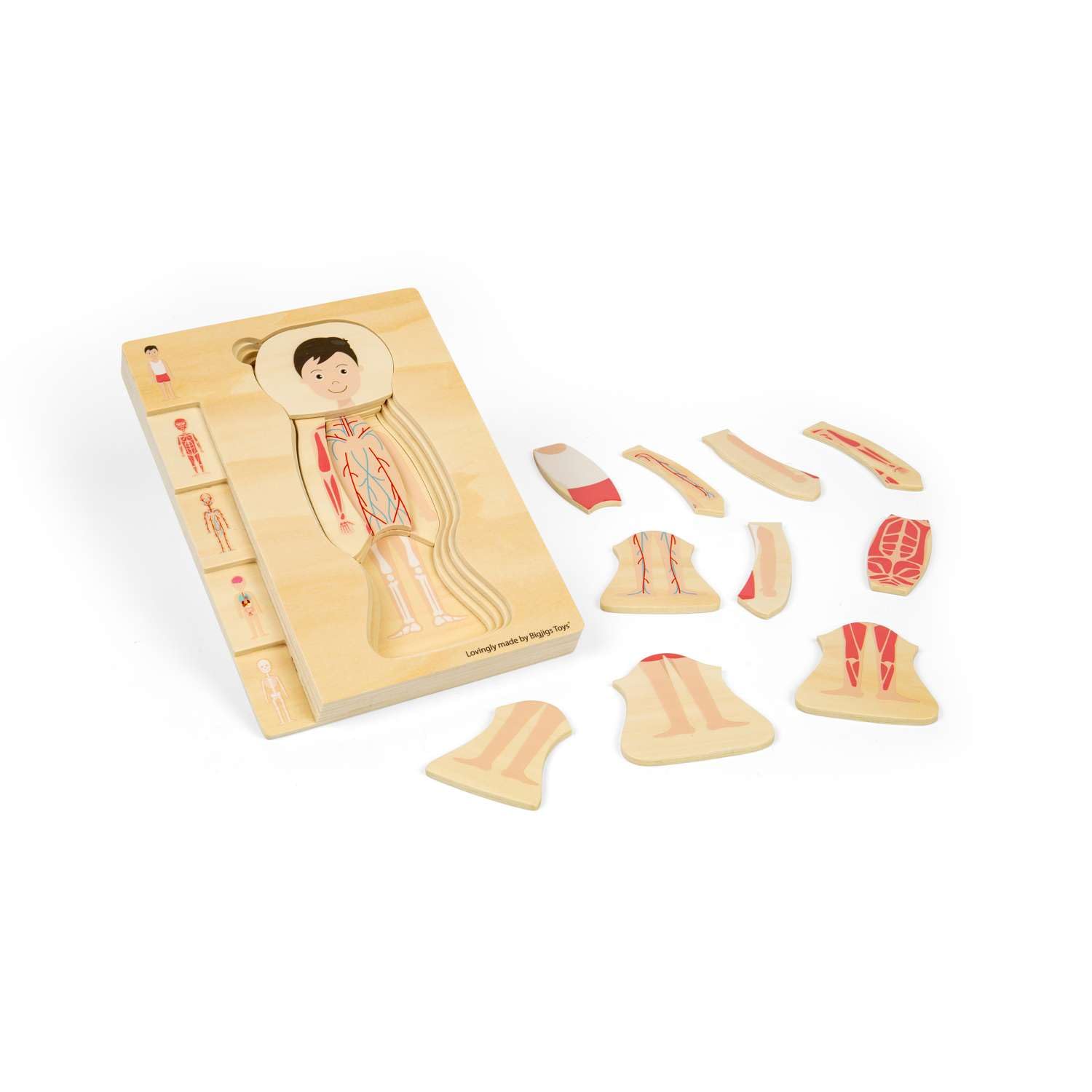 Bigjigs Toys Male Anatomy Puzzle - 26pcs Human Body Jigsaw Set, Wooden Jigsaws, Learn & Play Science Toy For Children, Educational Puzzles, Pre School Resources, Age 3 Years +