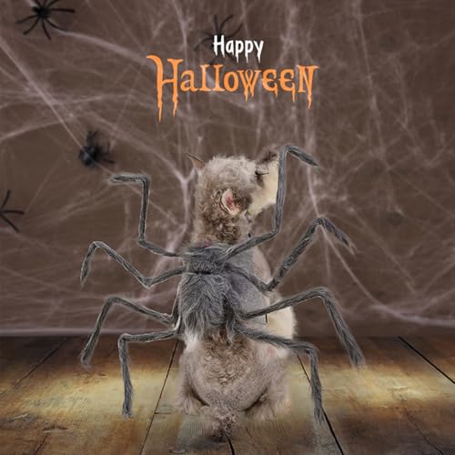 Disfraz araña para perro BAMY Halloween Talla M miniatura 2