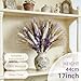 Hapart Purple Dried Pampass Grass Arrangements All-Natural Dried Plants with Bunny Tails Baby Breath Floral Centerpieces for Vase Tables Livingroom Wedding Boho Decor Floral Centerpieces for Tables