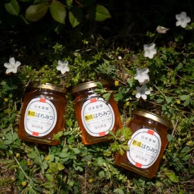 (希少品)自然のまま2年熟成させた100%天然の生はちみつ 160g×3個