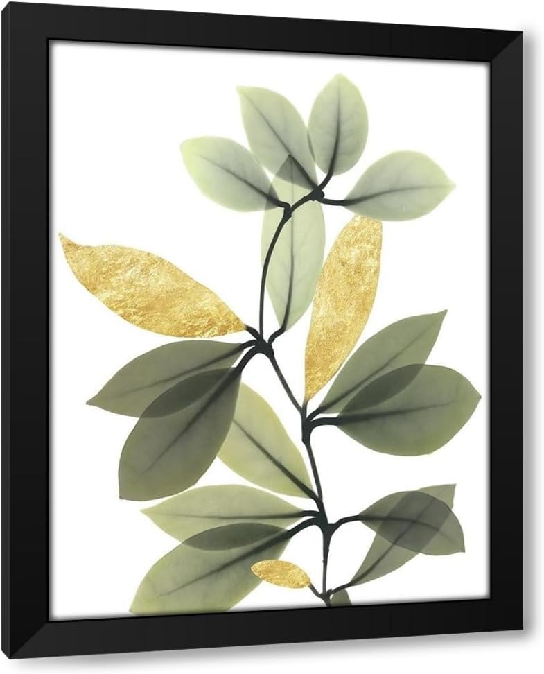 Koetsier, Albert 20x24 Black Modern Framed and Double Matted Museum Art Print Titled Golden Guide 2