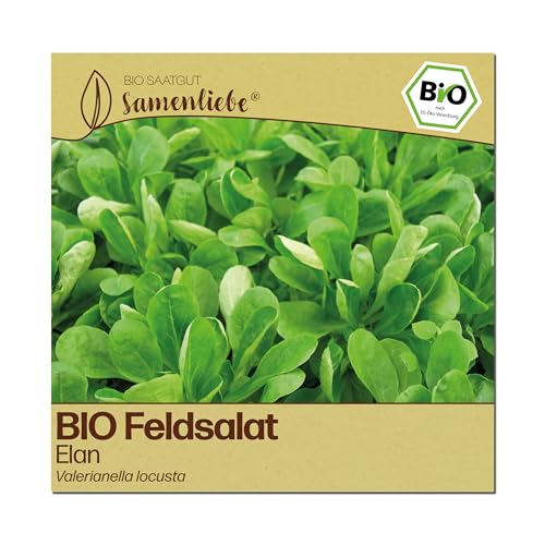 Samenliebe BIO Feldsalat Samen | Elan - großblättrig & winterhart - samenfestes BIO Saatgut