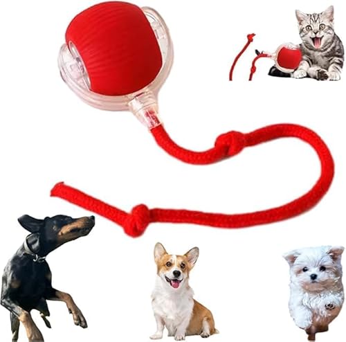 Genérico Juguete Interactivo para Gatos y Perros, 2026 Juguete Eléctrico con Carga USB, Tres Modos de Trabajo, 360° Smart Automatic Rolling Pet Ball, Juguete Eléctrico Automático (Red*1)