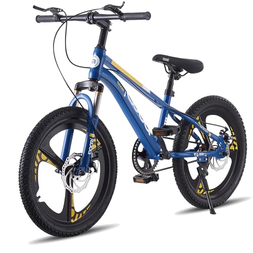 LSLIFE Kids Mountain Bike for Boys 24 Inch Kids Bicycle for 13-16 Years Old Boy with Shock Absorber Boys Mountain Bicycle with Dual Disc Brake (Blue, 24 Inch)