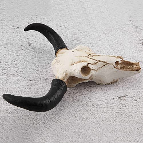 Tête de vache Longhorn en résine décorative pour décoration murale suspendue - 4